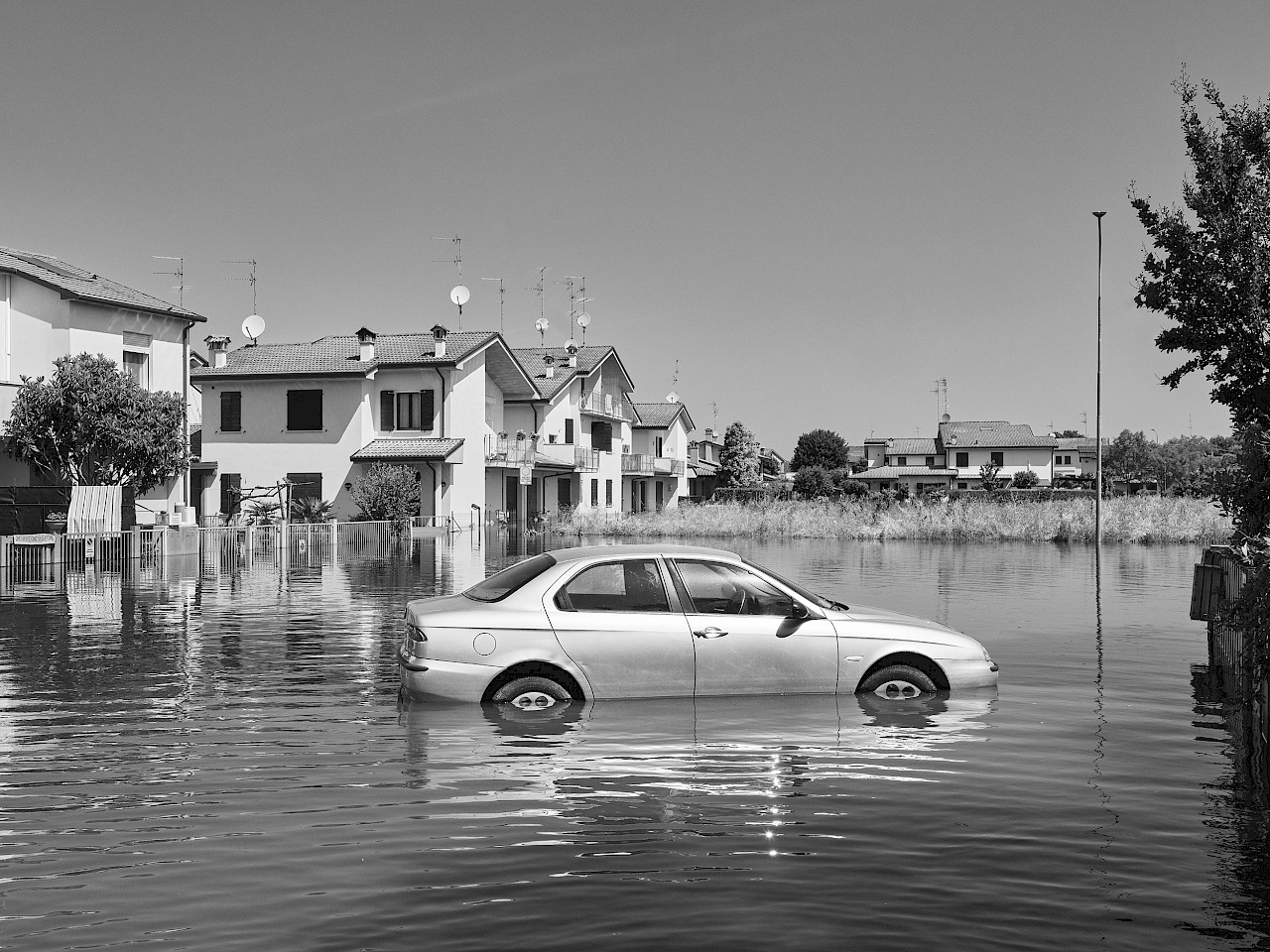 Eco Expo - Faultline